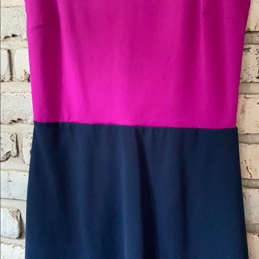 Color-block Dress - Picture 3 of 4